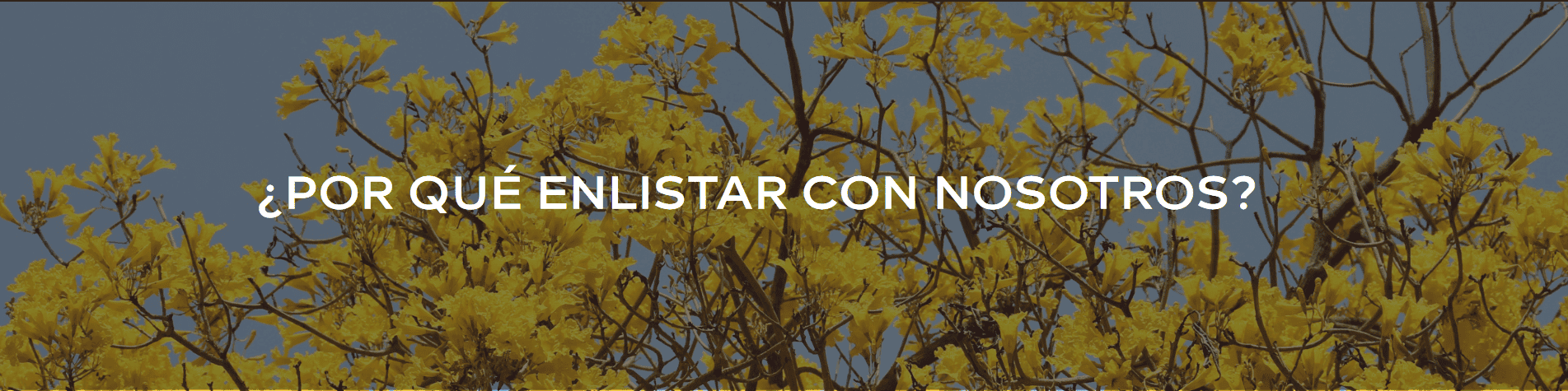 ¿Por qué C21 Fiori?