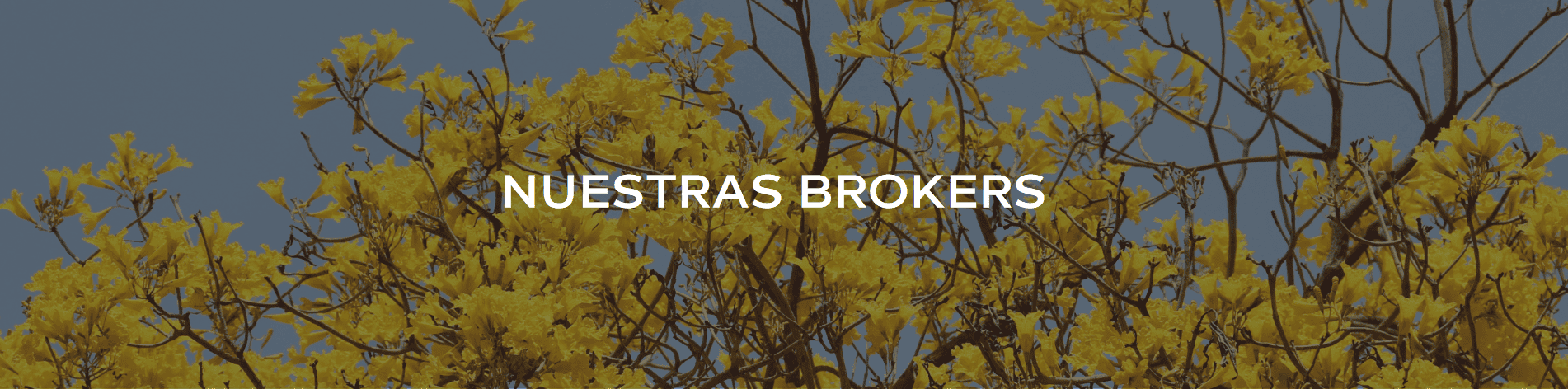 Nuestras Brokers