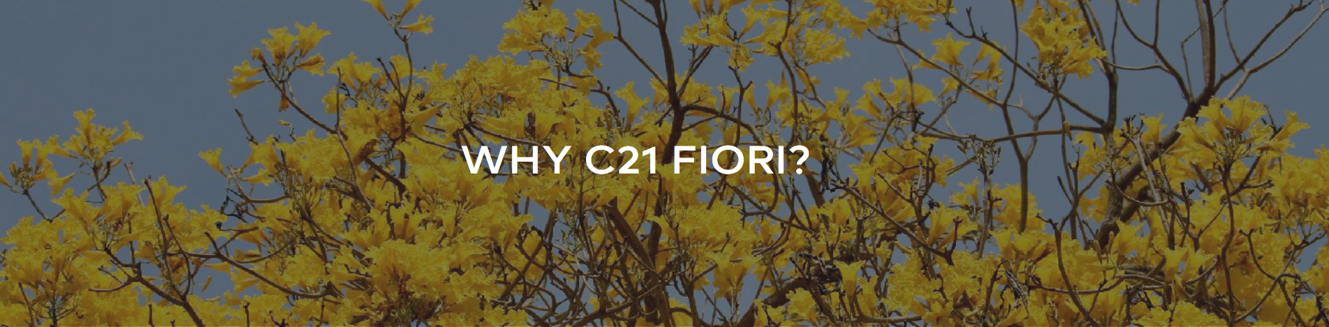 Why C21 Fiori